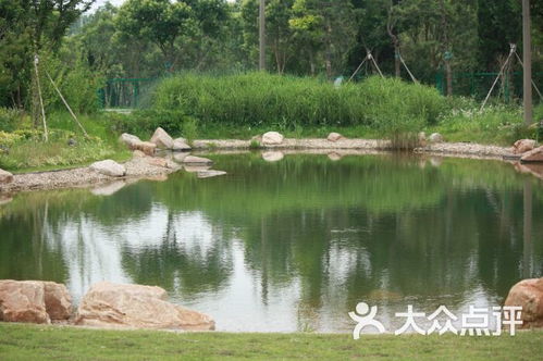 泰生農(nóng)場生態(tài)園住宿 崇明店