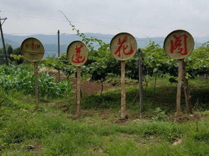 醉 生態(tài)丨蓮花閣生態(tài)園, 又一個世外桃源