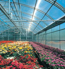 供應(yīng)采光板 陽光板玻璃鋼復(fù)合板