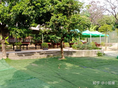 東莞萬荔生態(tài)園 企業(yè)團建年會與休閑游玩的理想去處