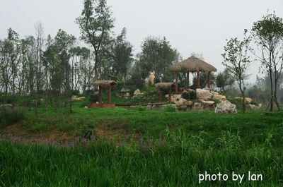 錦江白鷺溪生態公園 鏡中的生態之美
